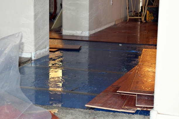 Professional Sewage Cleanup technician working in Harvey, ND